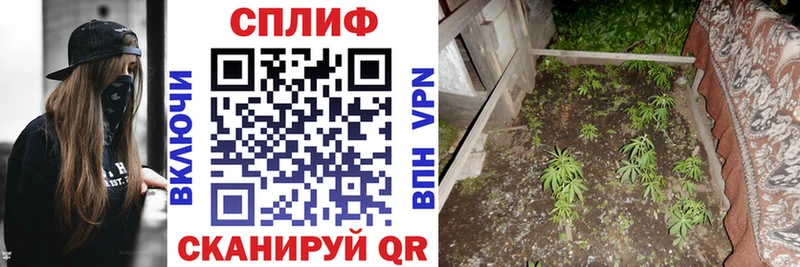 Каннабис Ganja Кириллов